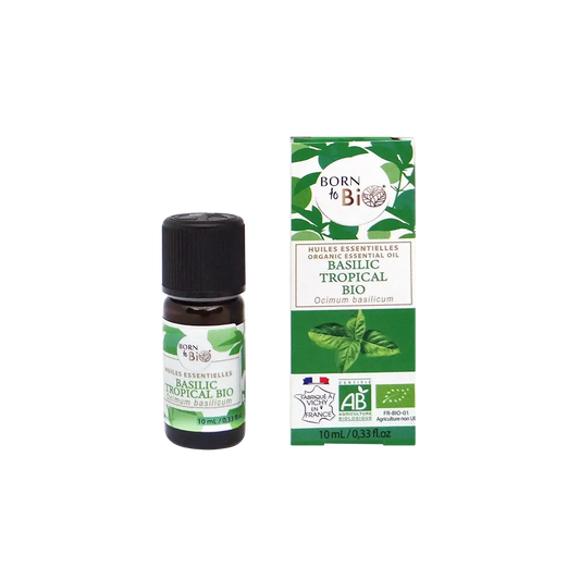 BORN to Bio | Organic Tropical Basil Essential Oil